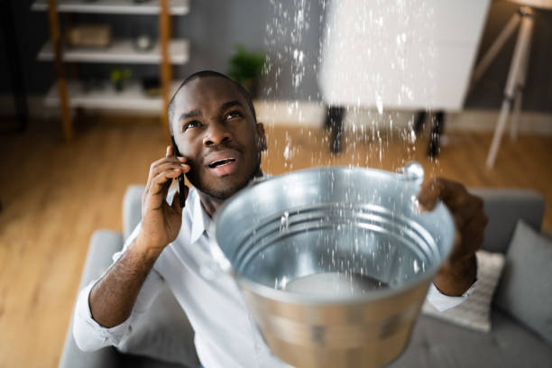 Best Local water damage restoration  in , AR