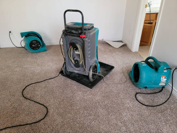 Best Flood restoration services  in , AR