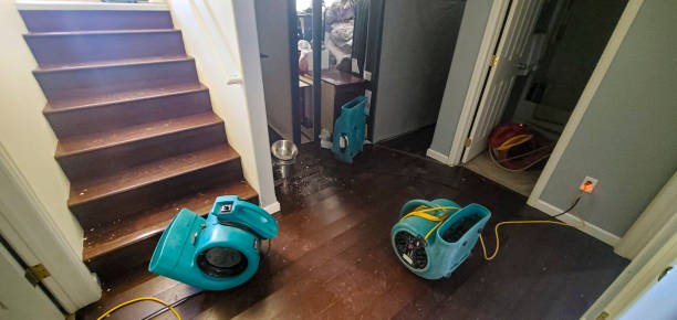 Best Mold removal after water damage  in , AR
