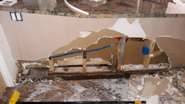 Best Water damage restoration near me  in , AR