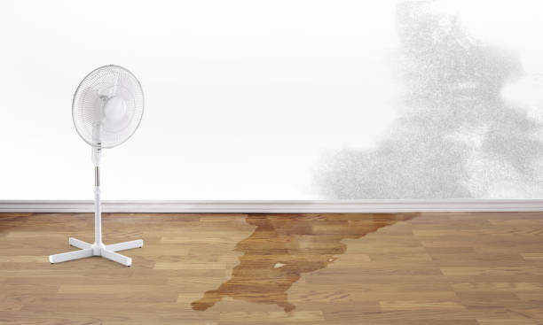 Best Commercial water damage restoration  in , AR