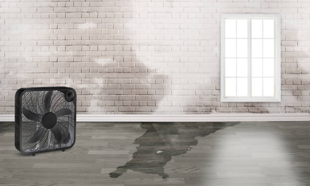 Best Flooded house restoration  in , AR