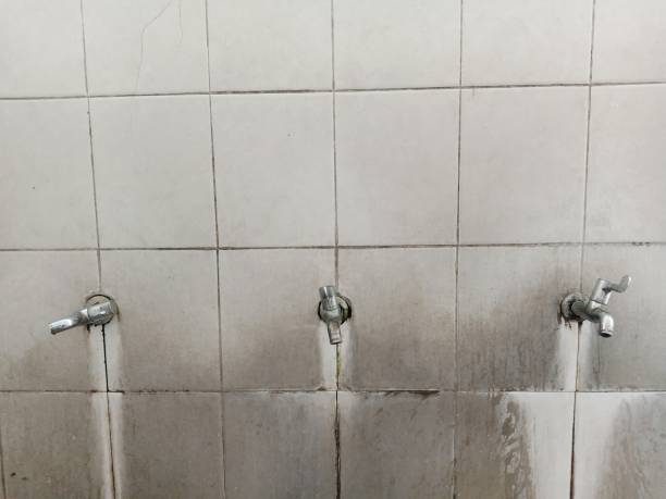Best Water damage restoration near me  in , AR
