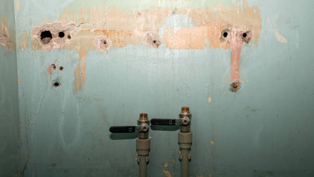 Best Residential water damage restoration  in , AR