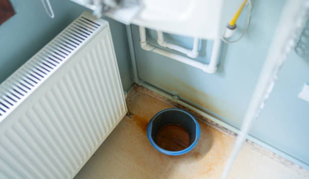 Best Water damage contractors near me  in , AR