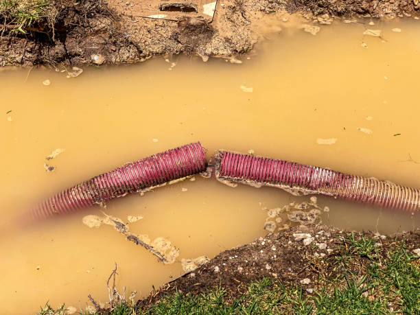 Best Water damage restoration specialists  in , AR
