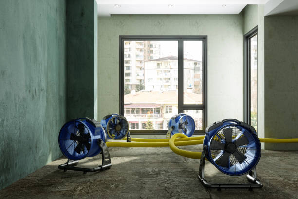 Best 24-hour water damage restoration  in , AR