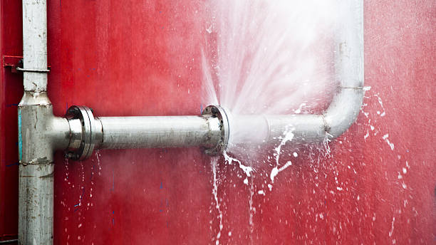 Best Professional water damage repair  in , AR
