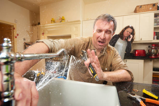Best Water damage cleanup near me  in , AR